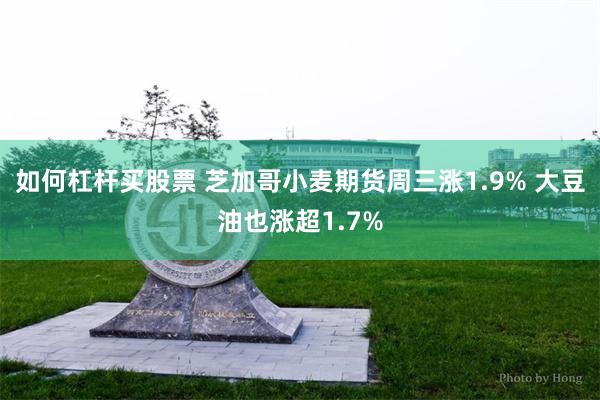 如何杠杆买股票 芝加哥小麦期货周三涨1.9% 大豆油也涨超1.7%