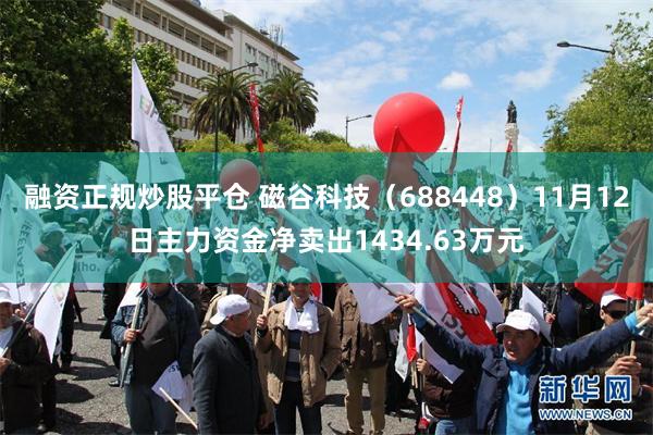 融资正规炒股平仓 磁谷科技（688448）11月12日主力资金净卖出1434.63万元
