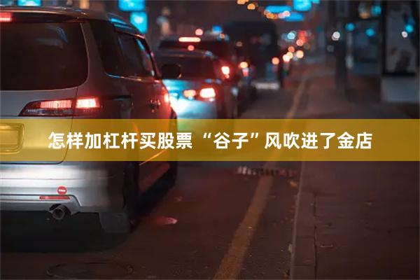 怎样加杠杆买股票 “谷子”风吹进了金店