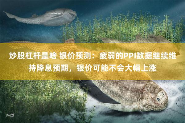 炒股杠杆是啥 银价预测：疲弱的PPI数据继续维持降息预期，银价可能不会大幅上涨