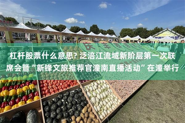 杠杆股票什么意思? 泛涪江流域新阶层第一次联席会暨“新锋文旅推荐官潼南直播活动”在潼举行