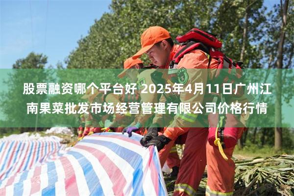 股票融资哪个平台好 2025年4月11日广州江南果菜批发市场经营管理有限公司价格行情