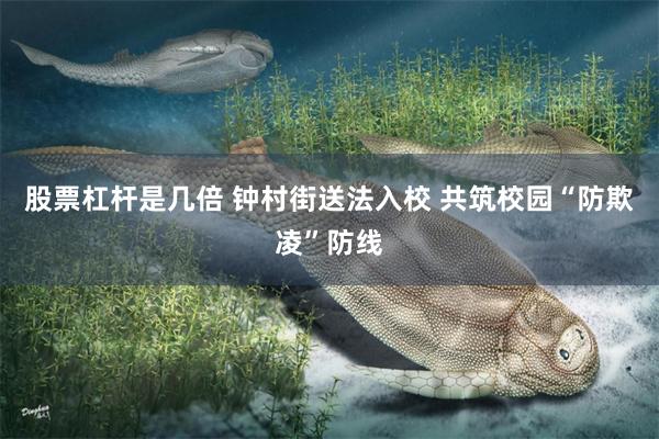 股票杠杆是几倍 钟村街送法入校 共筑校园“防欺凌”防线