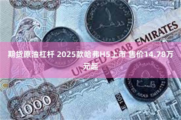期货原油杠杆 2025款哈弗H5上市 售价14.78万元起