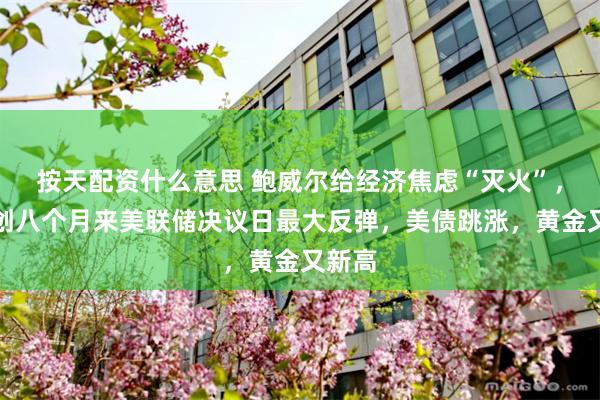 按天配资什么意思 鲍威尔给经济焦虑“灭火”，标普创八个月来美联储决议日最大反弹，美债跳涨，黄金又新高