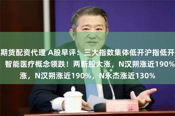 期货配资代理 A股早评：三大指数集体低开沪指低开0.91%，工程机械、智能医疗概念领跌！两新股大涨，N汉朔涨近190%，N永杰涨近130%