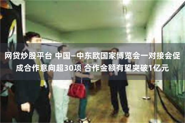 网贷炒股平台 中国—中东欧国家博览会一对接会促成合作意向超30项 合作金额有望突破1亿元