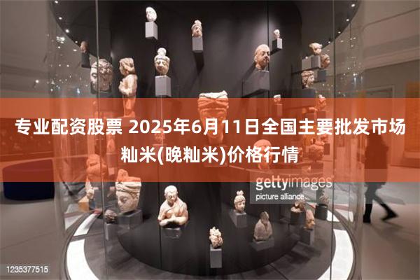 专业配资股票 2025年6月11日全国主要批发市场籼米(晚籼米)价格行情