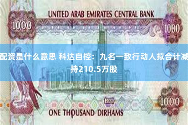 配资是什么意思 科达自控:九名一致行动人拟合计减持210.5万股
