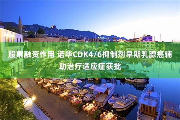 股票融资作用 诺华CDK4/6抑制剂早期乳腺癌辅助治疗适应症获批