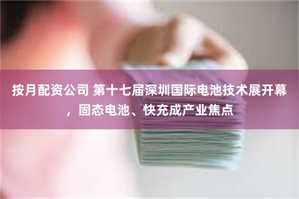 按月配资公司 第十七届深圳国际电池技术展开幕，固态电池、快充成产业焦点