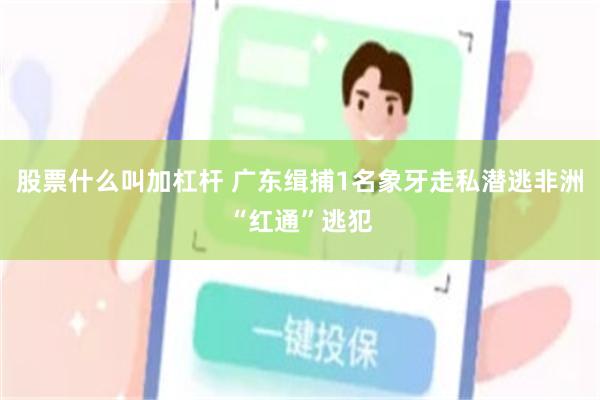 股票什么叫加杠杆 广东缉捕1名象牙走私潜逃非洲“红通”逃犯