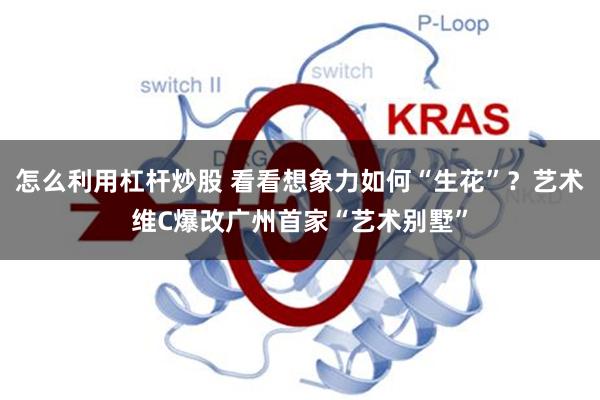 怎么利用杠杆炒股 看看想象力如何“生花”？艺术维C爆改广州首家“艺术别墅”