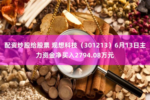 配资炒股给股票 观想科技（301213）6月13日主力资金净买入2794.08万元