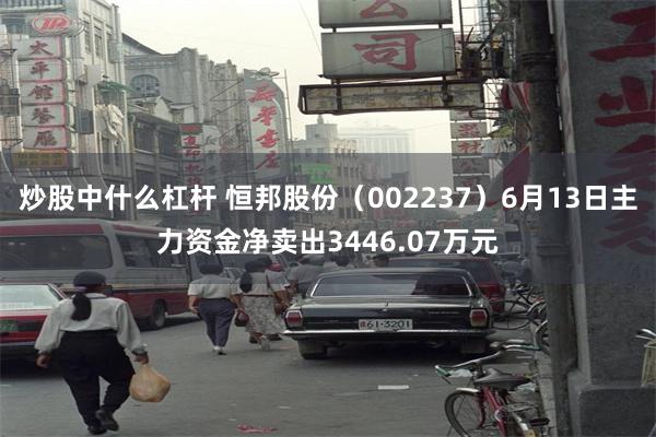 炒股中什么杠杆 恒邦股份（002237）6月13日主力资金净卖出3446.07万元