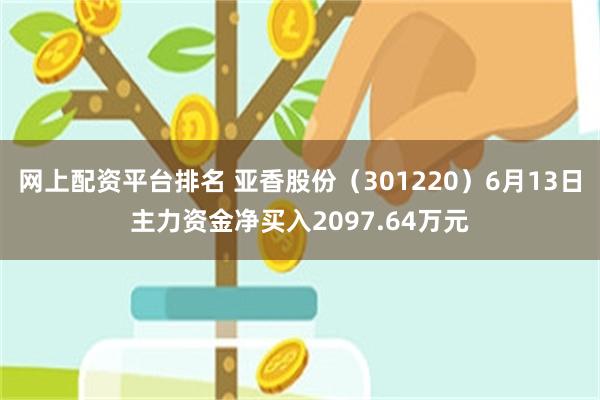 网上配资平台排名 亚香股份（301220）6月13日主力资金净买入2097.64万元