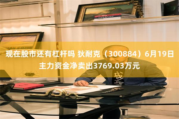 现在股市还有杠杆吗 狄耐克（300884）6月19日主力资金净卖出3769.03万元