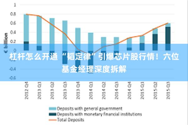 杠杆怎么开通 “韬定律”引爆芯片股行情！六位基金经理深度拆解