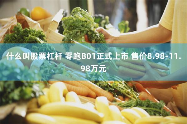 什么叫股票杠杆 零跑B01正式上市 售价8.98-11.98万元