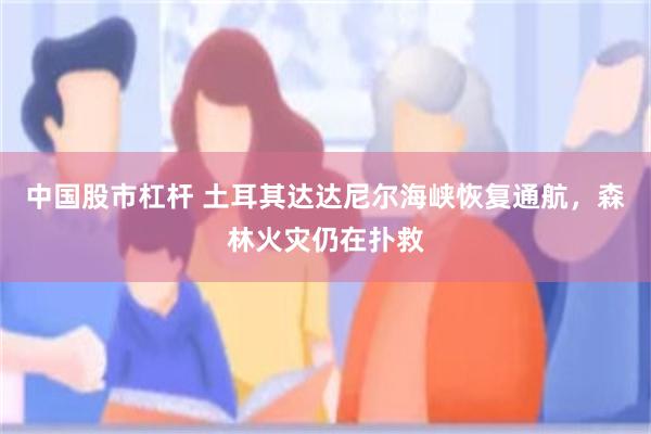中国股市杠杆 土耳其达达尼尔海峡恢复通航，森林火灾仍在扑救