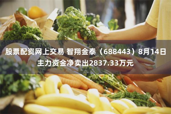 股票配资网上交易 智翔金泰(688443)8月14日主力资金净卖出2837.33万元