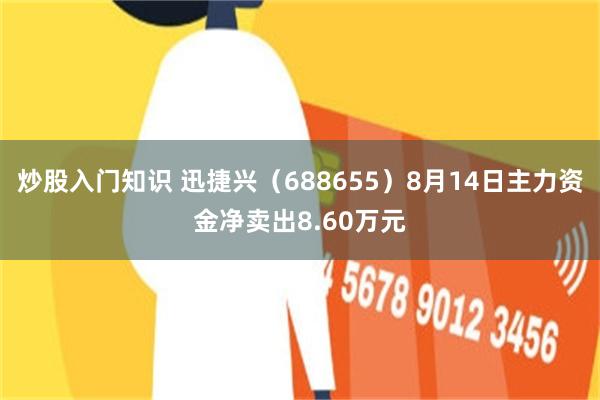 炒股入门知识 迅捷兴(688655)8月14日主力资金净卖出8.60万元