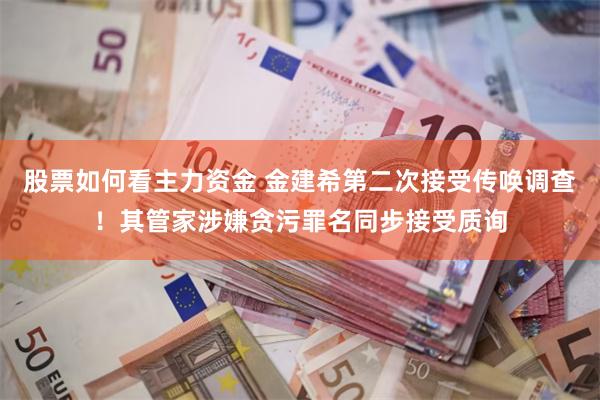 股票如何看主力资金 金建希第二次接受传唤调查!其管家涉嫌贪污罪名同步接受质询