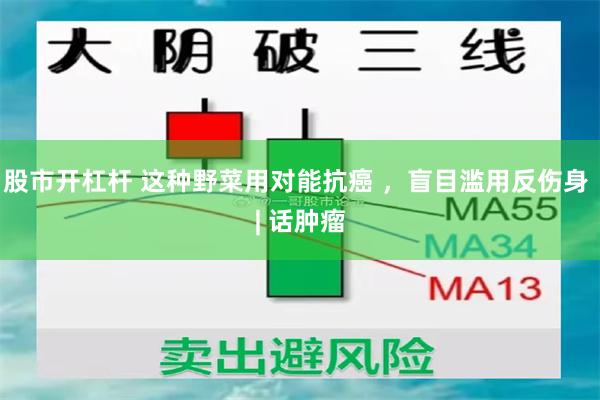 股市开杠杆 这种野菜用对能抗癌 ,盲目滥用反伤身 | 话肿瘤