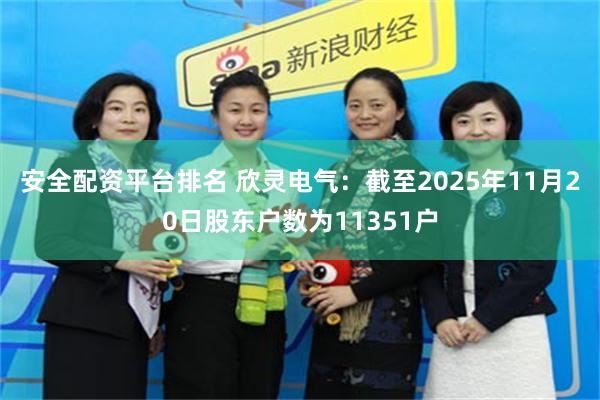 安全配资平台排名 欣灵电气：截至2025年11月20日股东户数为11351户
