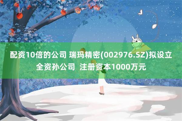 配资10倍的公司 瑞玛精密(002976.SZ)拟设立全资孙公司  注册资本1000万元