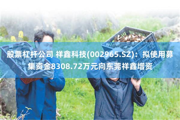 股票杠杆公司 祥鑫科技(002965.SZ)：拟使用募集资金8308.72万元向东莞祥鑫增资