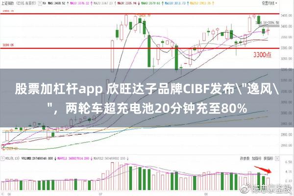 股票加杠杆app 欣旺达子品牌CIBF发布