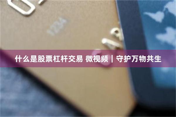 什么是股票杠杆交易 微视频｜守护万物共生