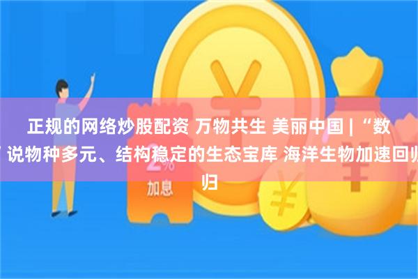 正规的网络炒股配资 万物共生 美丽中国 | “数”说物种多元、结构稳定的生态宝库 海洋生物加速回归