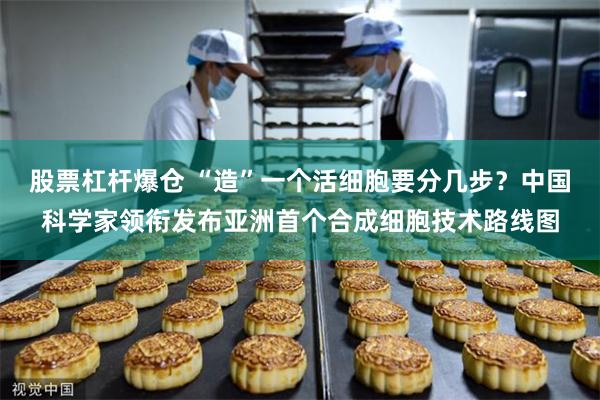 股票杠杆爆仓 “造”一个活细胞要分几步？中国科学家领衔发布亚洲首个合成细胞技术路线图