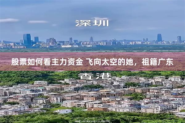 股票如何看主力资金 飞向太空的她，祖籍广东