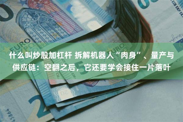 什么叫炒股加杠杆 拆解机器人“肉身”、量产与供应链:空翻之后,它还要学会接住一片落叶