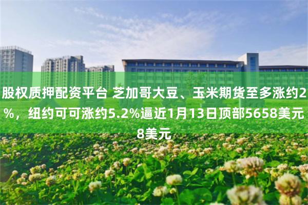 股权质押配资平台 芝加哥大豆、玉米期货至多涨约2%，纽约可可涨约5.2%逼近1月13日顶部5658美元