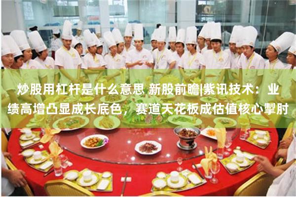 炒股用杠杆是什么意思 新股前瞻|紫讯技术：业绩高增凸显成长底色，赛道天花板成估值核心掣肘