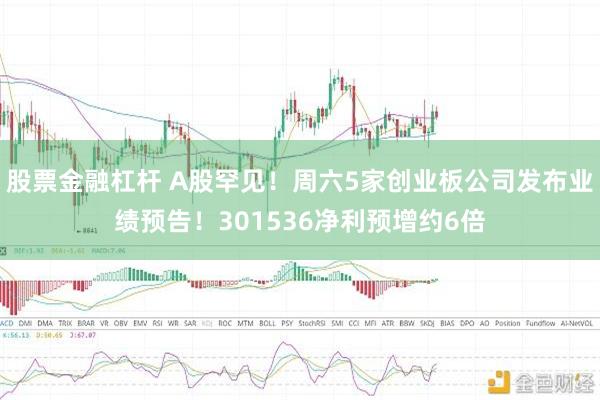 股票金融杠杆 A股罕见!周六5家创业板公司发布业绩预告!301536净利预增约6倍