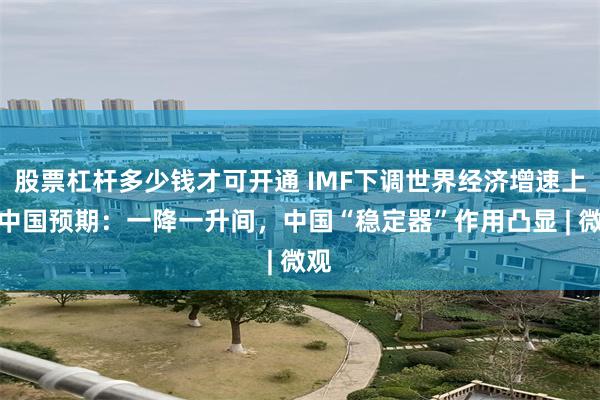 股票杠杆多少钱才可开通 IMF下调世界经济增速上调中国预期:一降一升间,中国“稳定器”作用凸显 | 微观