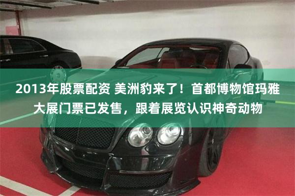 2013年股票配资 美洲豹来了！首都博物馆玛雅大展门票已发售，跟着展览认识神奇动物