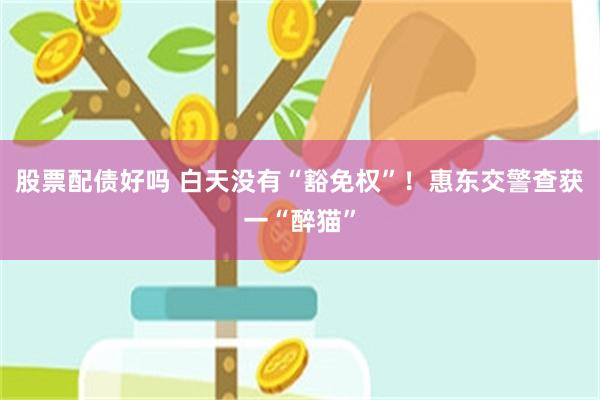 股票配债好吗 白天没有“豁免权”！惠东交警查获一“醉猫”