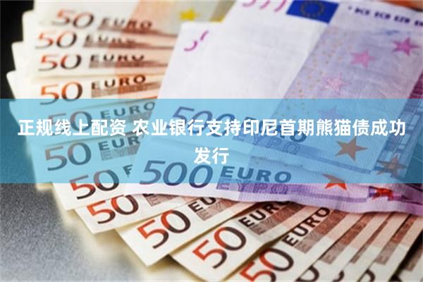 正规线上配资 农业银行支持印尼首期熊猫债成功发行