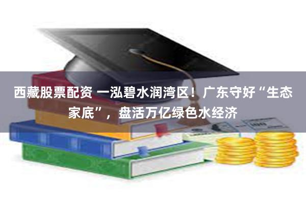 西藏股票配资 一泓碧水润湾区！广东守好“生态家底”，盘活万亿绿色水经济