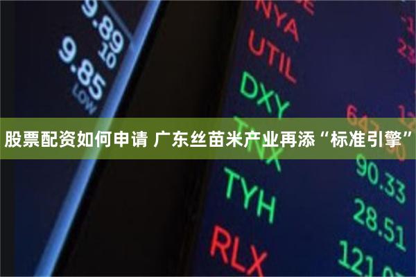 股票配资如何申请 广东丝苗米产业再添“标准引擎”