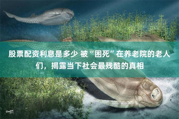 股票配资利息是多少 被“困死”在养老院的老人们，揭露当下社会最残酷的真相