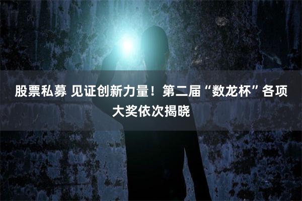 股票私募 见证创新力量！第二届“数龙杯”各项大奖依次揭晓