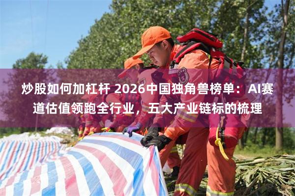 炒股如何加杠杆 2026中国独角兽榜单：AI赛道估值领跑全行业，五大产业链标的梳理
