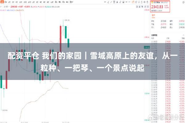 配资平仓 我们的家园｜雪域高原上的友谊，从一粒种、一把琴、一个景点说起